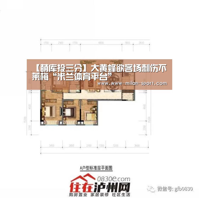 【萌库投三分】大黄蜂欲客场刺伤不莱梅“米兰体育平台”(图2) 米兰体育在线
